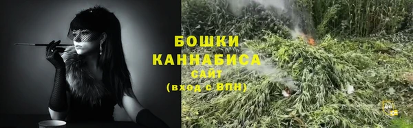 PSILOCYBIN Беломорск