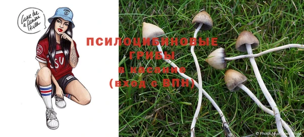 PSILOCYBIN Беломорск