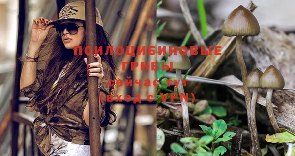 PSILOCYBIN Беломорск