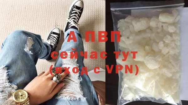 спиды Белокуриха