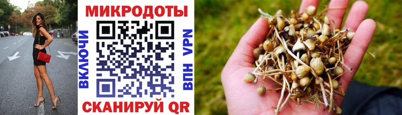 Псилоцибиновые грибы Psilocybine cubensis даркнет формула Верхняя Салда